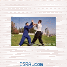 International wing chun organization