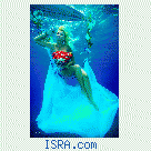 Underwater Fashion Project
