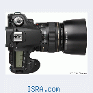 Canon 50d + canon 85mm f/1.8