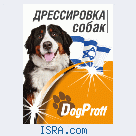 Дрессировка собак на дому. Кинолог.