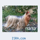 на продажу