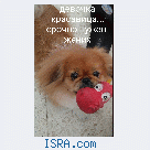 Срочно