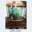 Продам аквариум