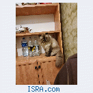 Вязка