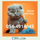 Требуются уборщицы для домов и квартир