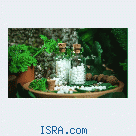 Классическая гомеопатия &mdash; Путь к себе