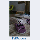 Котик