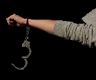 Палестинские студенты арестованы за подготовку теракта