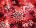 Почему мутирует коронавирус? 