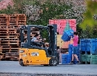 Судьба сельского хозяйства – в руках волонтеров 