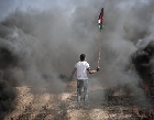 Иордания требует расследовать военные преступления в Газе 