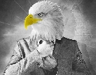 США обеспокоены поведением Израиля 