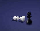 Кац вступился за Замира 