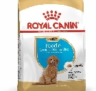 Щенок пуделя в доме: чем и как кормить