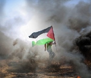Террориста ХАМАСа отпустили в Газу 