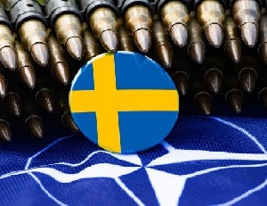 Швеция считает, что Турции пора бы подсуетиться 