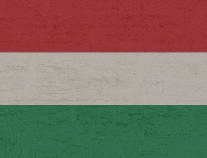 Израиль отказался подписать документ с критикой в адрес Венгрии 