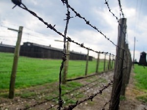 Евреи виноваты в том, что их дети умирали в Освенциме? 