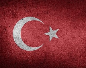 Турция отозвала посла 