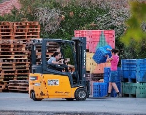 Судьба сельского хозяйства – в руках волонтеров 