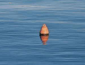 Кому теперь принадлежит Красное море? 