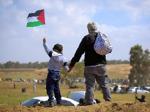Палестинцы возобновили попытки стать полноправным членом ООН 