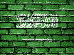 США хотят ограничить поставки оружия Саудовской Аравии 