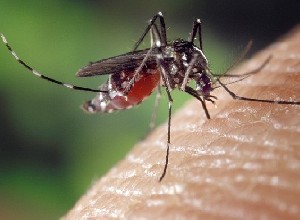 Доктора предупредили об опасной болезни 