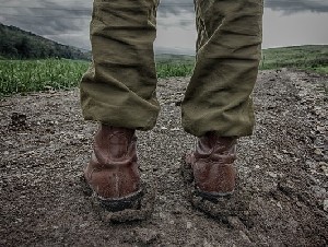 Когда харедим начнут призывать в армию? 
