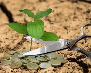 Палестинцы сетуют на дефицит 