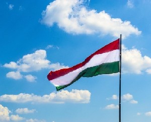 Саар поддержал решение Венгрии 