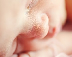 У мертвого раввина родилась дочь 