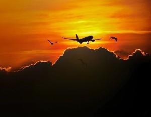 Новые полетные программы от Arkia 