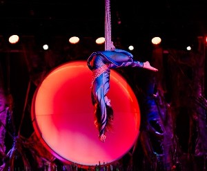 Приключения в волшебном лесу: в Хануку нас ждет встреча с чудом