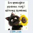 познакомлюсь с  женщиной 40+