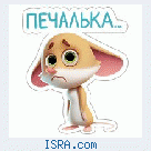Привет