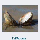 Знакомство с женщиной 40+