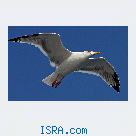 Знакомство