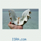 Границы свободы