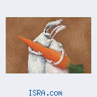 Не полную Центр -Юг