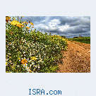 Знакомство для отношений