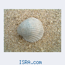 Познакомлюсь с женщиной 40+