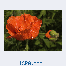 Знакомство с женщиной 40+