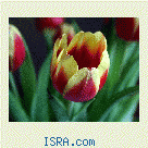 Знакомство с женщиной