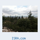 Знакомство с женщиной 40+