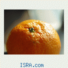 Знакомство с женщиной 50+