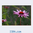 Знакомство с женщиной которая