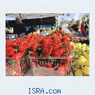 Ищу женщину-партнера для