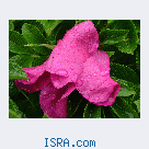 Знакомство с женщиной