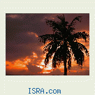 Знакомство